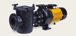 Centrifugal pool pumps 7500 W